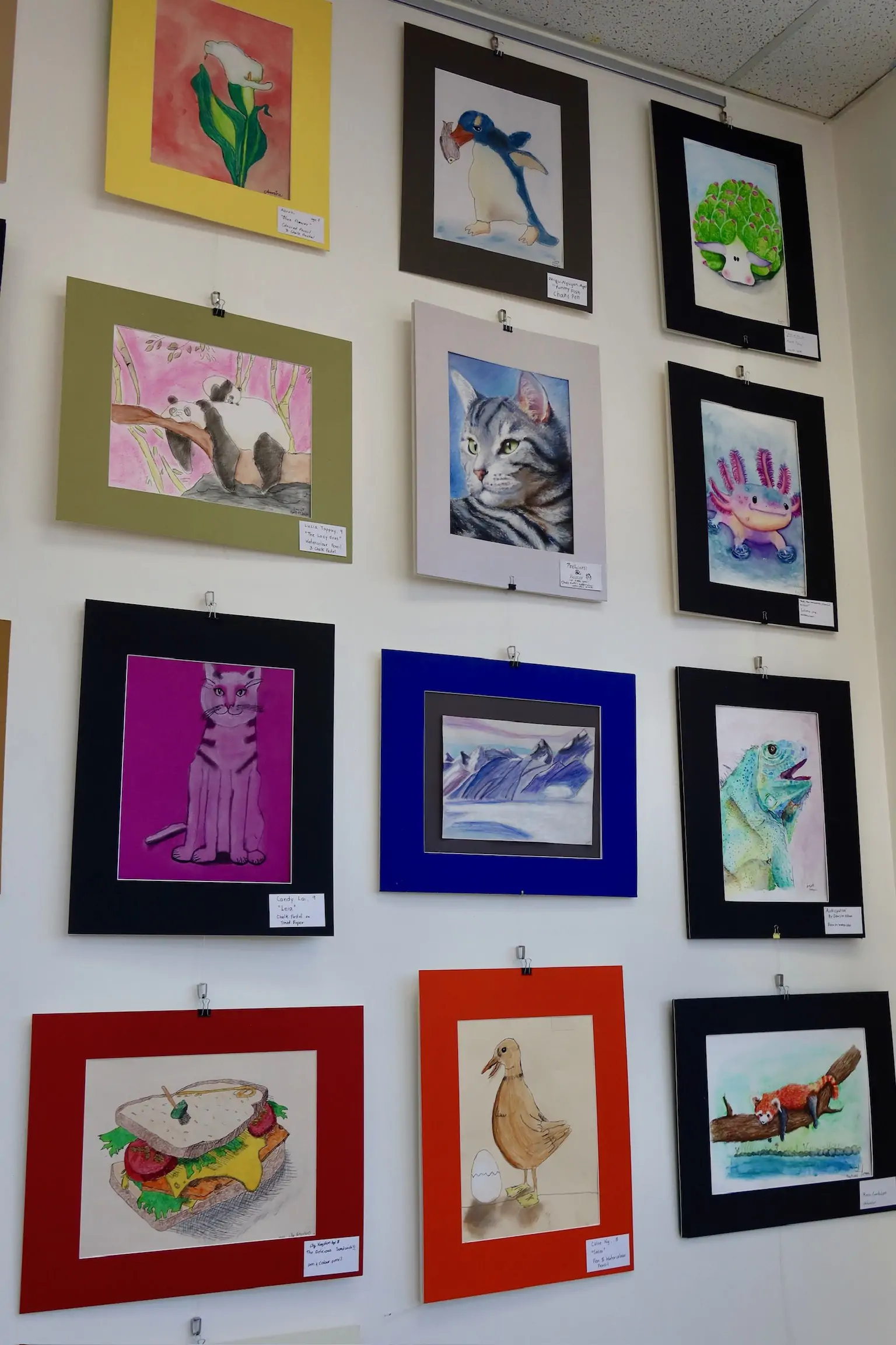 A gallery wall at Aliki’s Art House displaying framed student artworks, including animals, landscapes, and creative illustrations in mixed media.