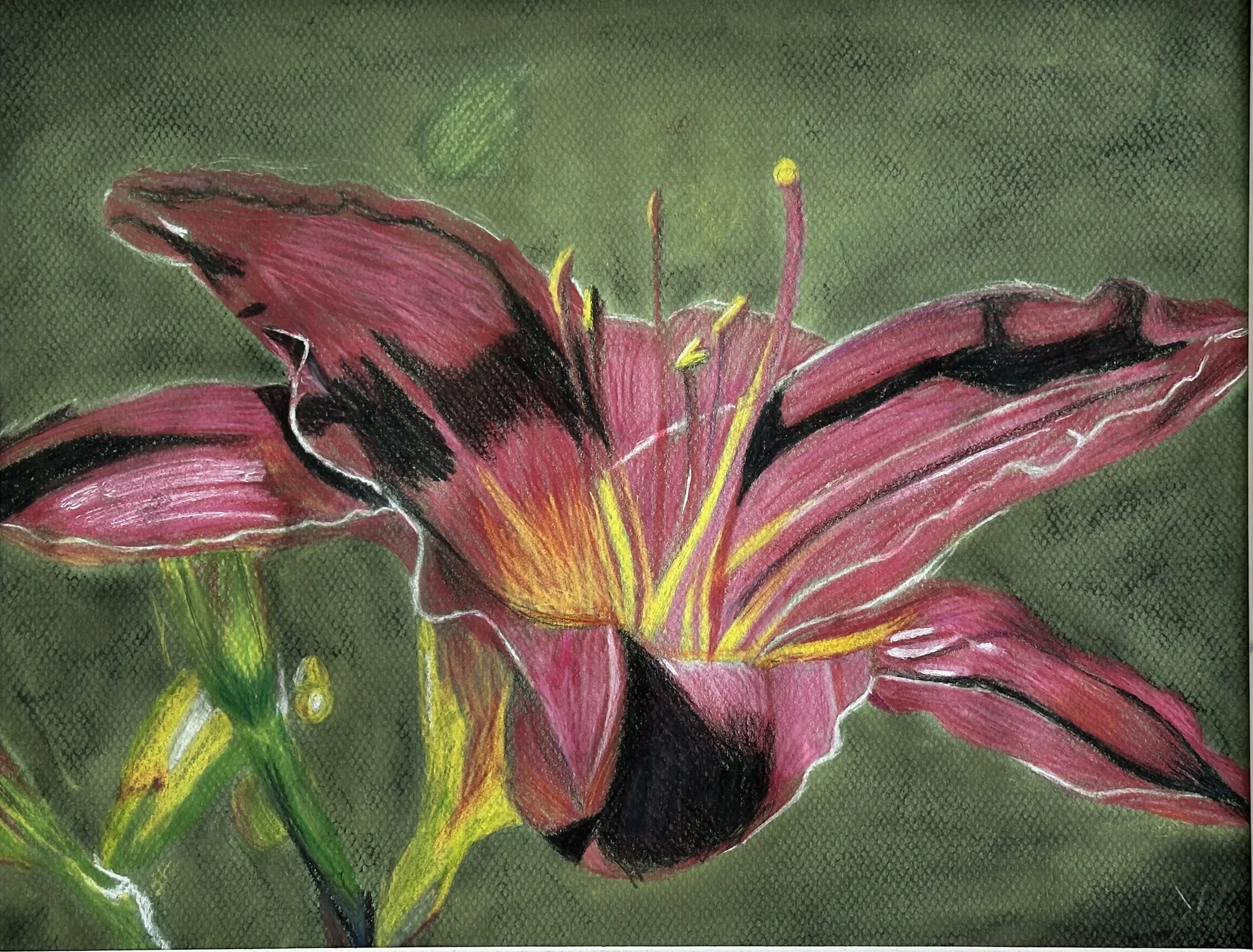 Student pastel drawing of a large pink lily with yellow and black details on a green textured background.